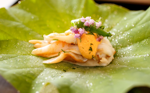 山﨑の写真