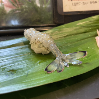 すしぎん