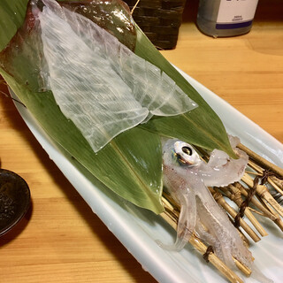 烏賊食堂