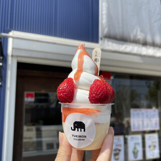 雪文