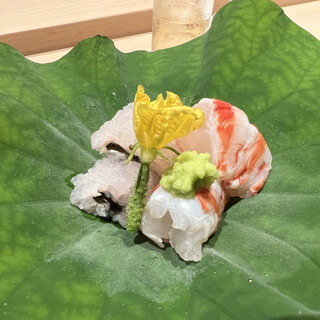 紀茂登
