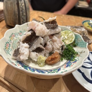 月肴