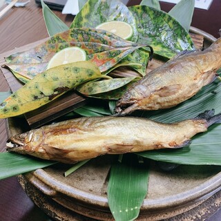 美加登家