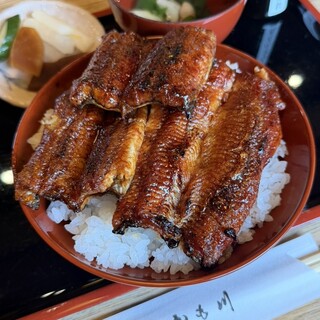 かも川