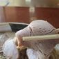 中華そば処 琴平荘