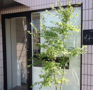 m.koide