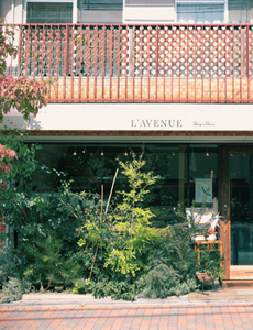 L'AVENUE