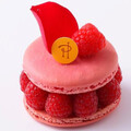 macaron0227
