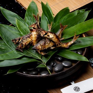 美加登家